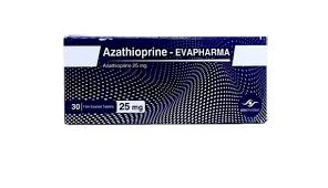 download-2025-12-13T010335.124-1