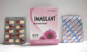 download-2025-12-29T130848.564-1