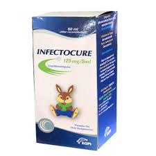 download-2025-12-29T235016.032-1